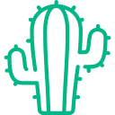 Cacti
