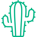 Cacti